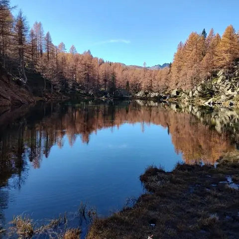 Laghetto alpino con i riflessi dei larici autunnali