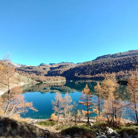 Lago turchese tra i larici autunnali