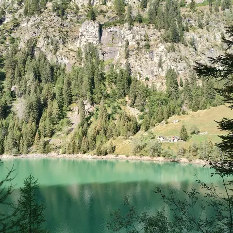 Lago verde smeraldo tra boschi e pareti di roccia