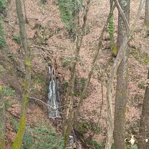 Piccola cascata tra gli alberi in un bosco d'inverno