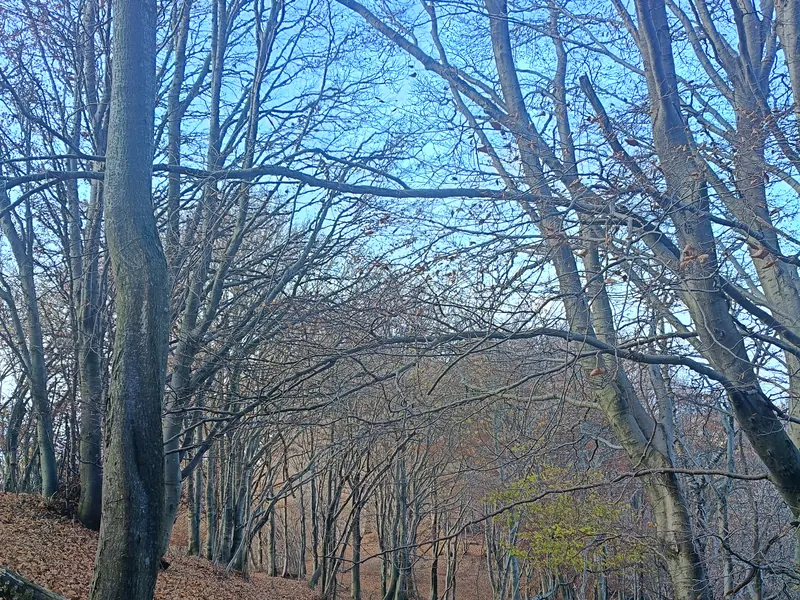 Paesaggio durante l'escursione: Pizzoni di Laveno e Passo del Cuvignone
